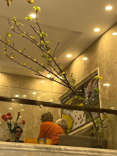 Golden Sun Hotel – Foto’s 12